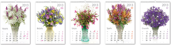 2013 metų kalendorius