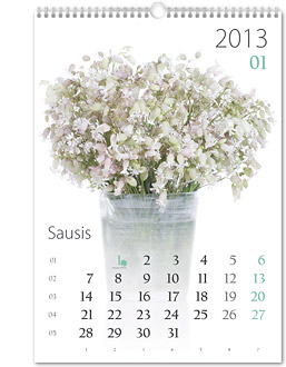 2013 metų kalendorius