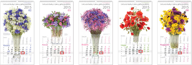 2015 metų kalendorius